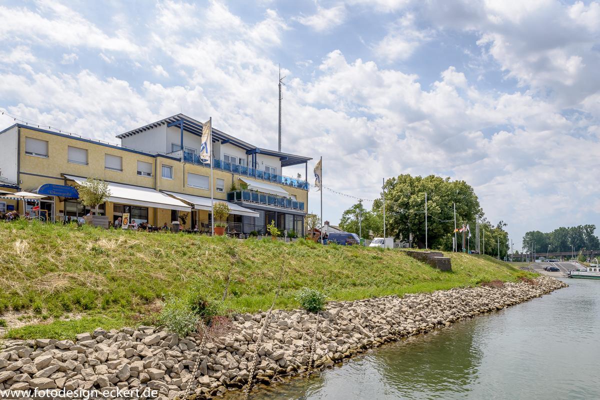 Hotel Rheingold Gernsheim Ngoại thất bức ảnh